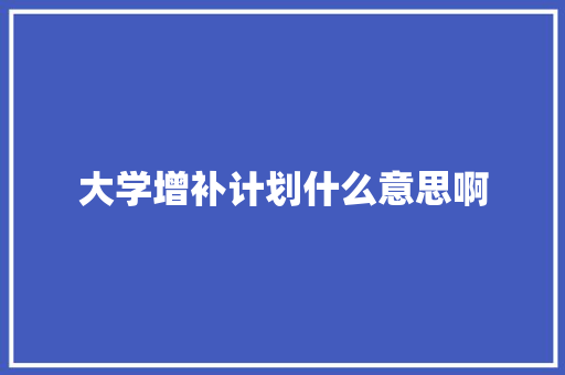 大学增补计划什么意思啊 论文