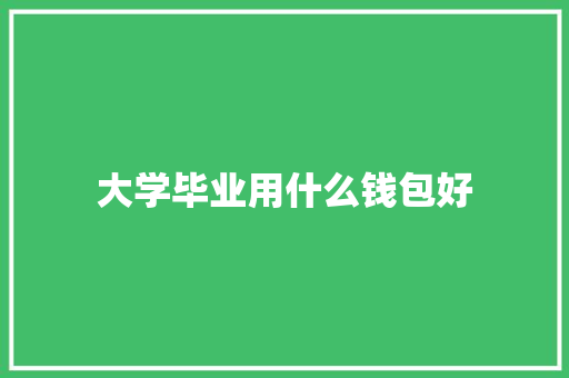 大学毕业用什么钱包好 毕业设计