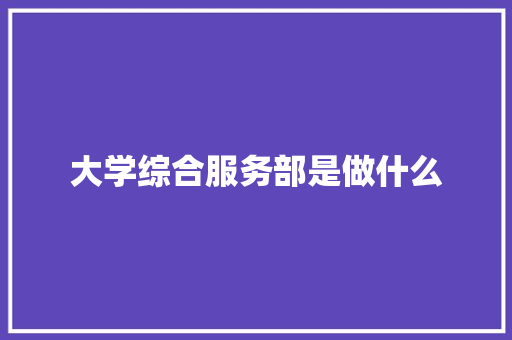大学综合服务部是做什么 教育论文