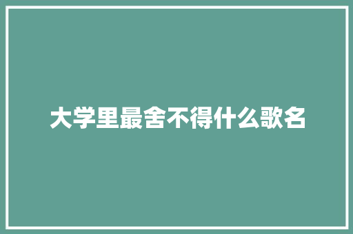 大学里最舍不得什么歌名 计算机论文