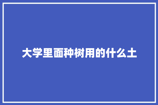 大学里面种树用的什么土 论文