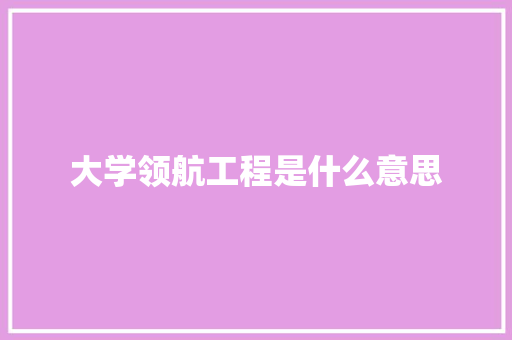 大学领航工程是什么意思 策划方案