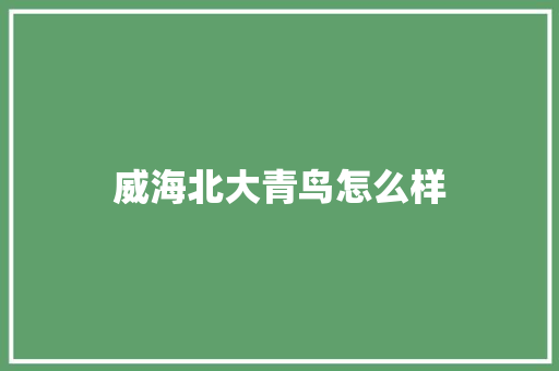 威海北大青鸟怎么样 表扬书