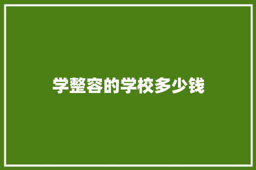 学整容的学校多少钱 保证书