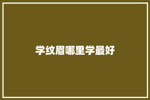 学纹眉哪里学最好 个人简历