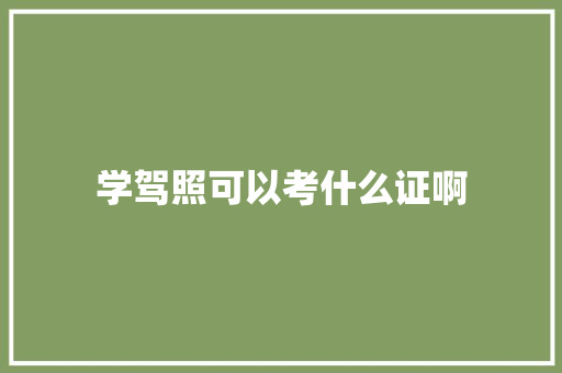 学驾照可以考什么证啊 英文简历