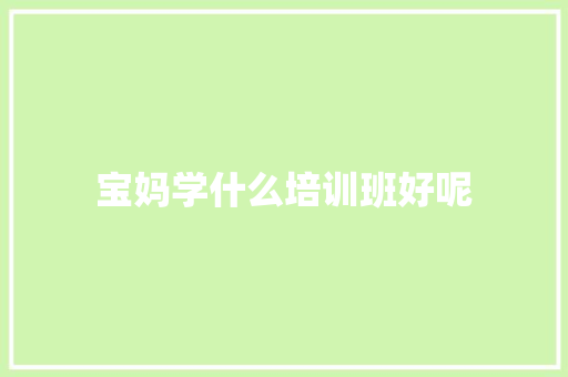 宝妈学什么培训班好呢 英文简历