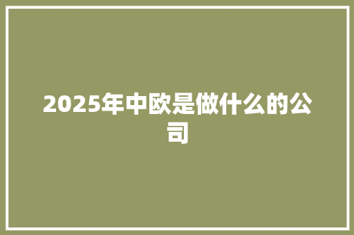 2025年中欧是做什么的公司 保证书