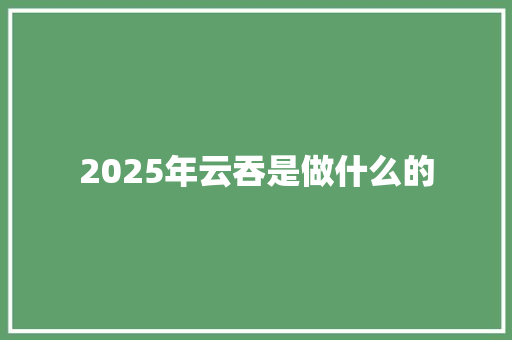 2025年云吞是做什么的 管理论文
