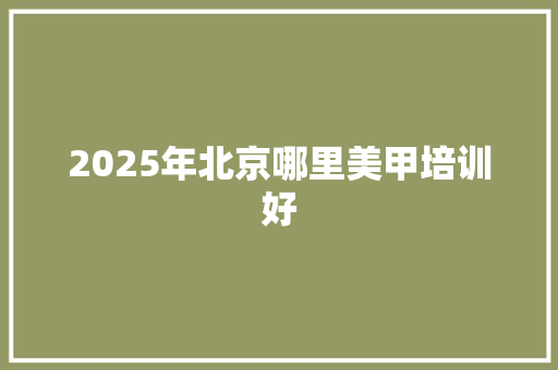 2025年北京哪里美甲培训好 毕业设计
