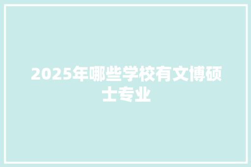 2025年哪些学校有文博硕士专业 办公写作