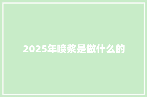 2025年喷浆是做什么的 计算机论文