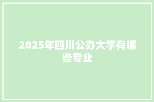 2025年四川公办大学有哪些专业 个人写作