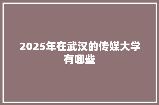 2025年在武汉的传媒大学有哪些 个人简历