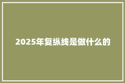 2025年复纵线是做什么的 英文简历