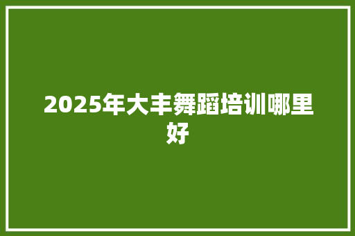 2025年大丰舞蹈培训哪里好 策划方案
