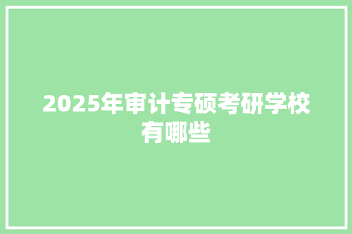 2025年审计专硕考研学校有哪些 简历资料