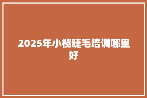 2025年小榄睫毛培训哪里好 简历
