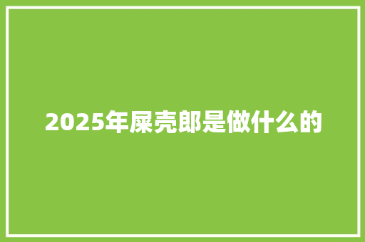 2025年屎壳郎是做什么的 面试技巧