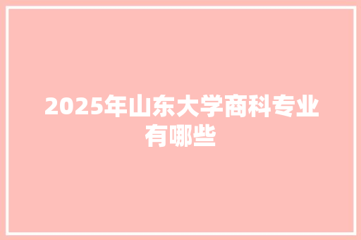 2025年山东大学商科专业有哪些 计算机论文