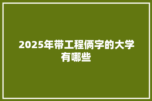 2025年带工程俩字的大学有哪些 教育论文