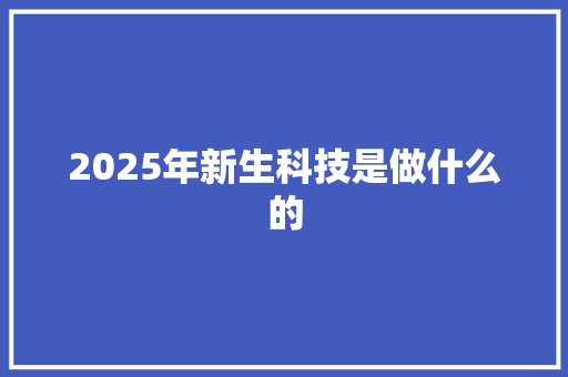 2025年新生科技是做什么的 办公写作