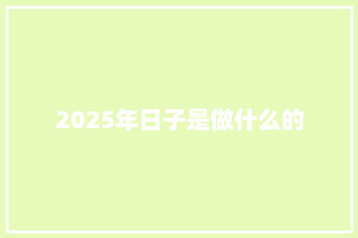 2025年日子是做什么的 计算机论文
