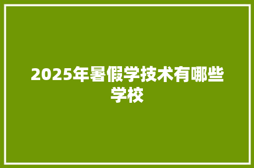 2025年暑假学技术有哪些学校 论文