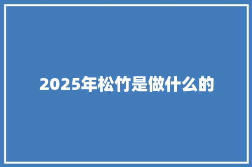 2025年松竹是做什么的 个人写作