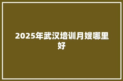 2025年武汉培训月嫂哪里好 公证书
