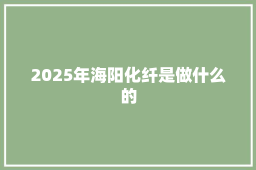2025年海阳化纤是做什么的 文秘写作