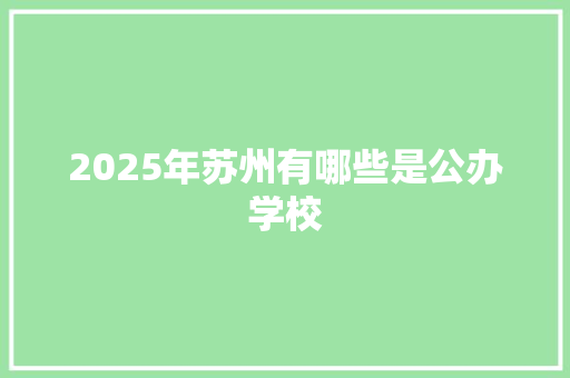 2025年苏州有哪些是公办学校 社会论文