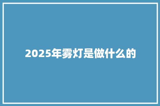 2025年雾灯是做什么的 个人写作