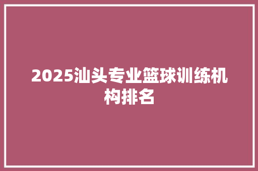 2025汕头专业篮球训练机构排名 保证书