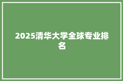 2025清华大学全球专业排名 简历