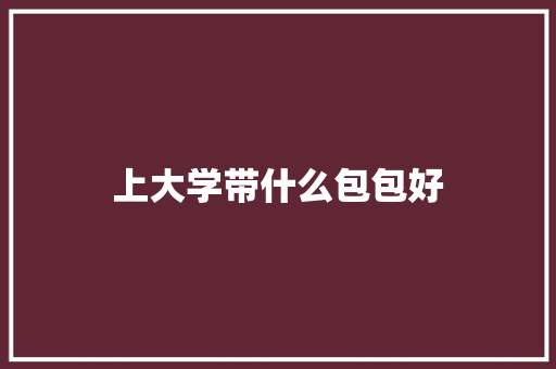 上大学带什么包包好 英文简历