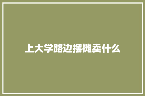 上大学路边摆摊卖什么 办公写作
