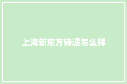 上海新东方待遇怎么样 个人写作