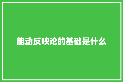 能动反映论的基础是什么 担保书