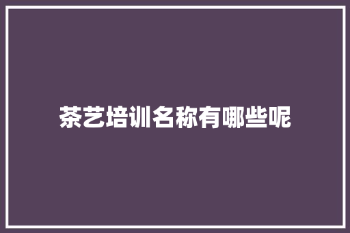 茶艺培训名称有哪些呢 办公写作