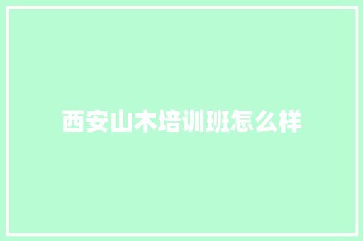 西安山木培训班怎么样 简历资料