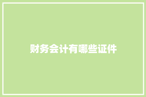 财务会计有哪些证件 论文