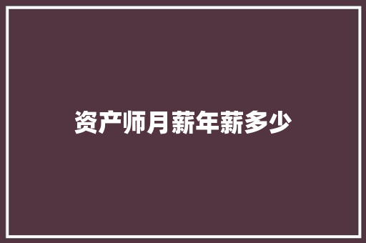 资产师月薪年薪多少 个人写作