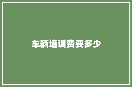 车辆培训费要多少 社会论文