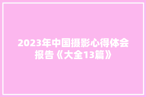 2023年中国摄影心得体会报告《大全13篇》 担保书