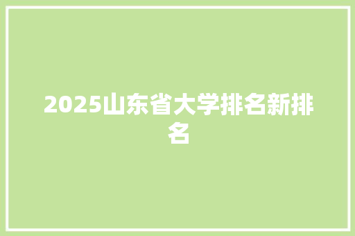 2025山东省大学排名新排名 个人简历