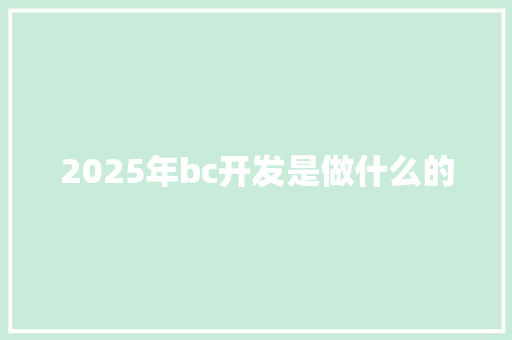 2025年bc开发是做什么的 毕业设计