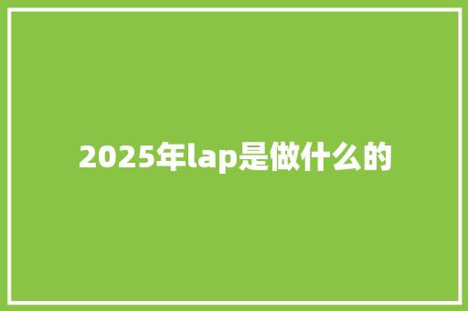 2025年lap是做什么的 简历