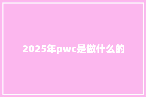 2025年pwc是做什么的 简历