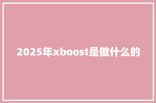 2025年xboost是做什么的 公证书